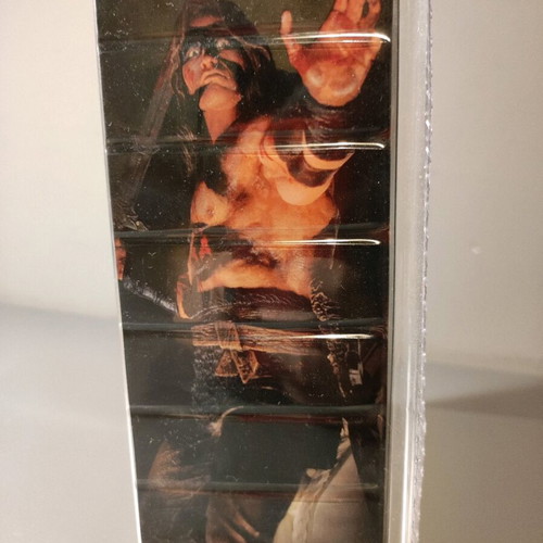 Neca Conan the Barbarian Series 1 collectible figure new