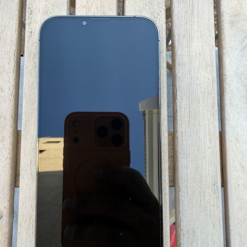 Apple iPhone 13 Pro Max 128GB Alpine Green
