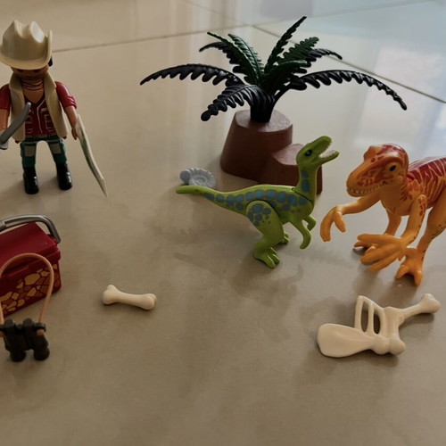 Playmobil Explorer and Dinosaurs like new