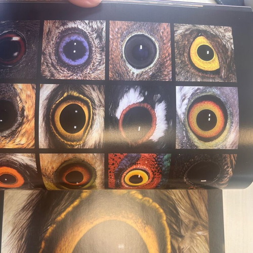Nature Explore Feathered World book new with lens by Giorgos Avagianou