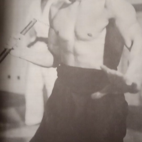 The Life of Bruce Lee biography book like new, Greek