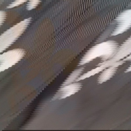 Πουκάμισο La Martina γκρι με ρίγα και κέντημα σε άριστη κατάσταση