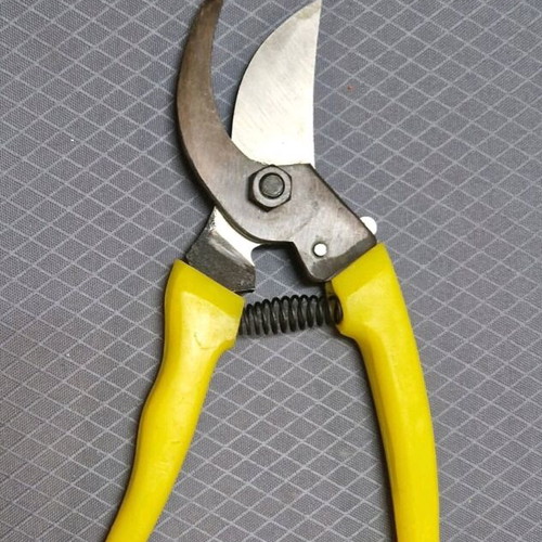 Pruning shears new general use for branches and plants