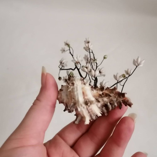 Sea shells used, handmade decor of natural sea shells