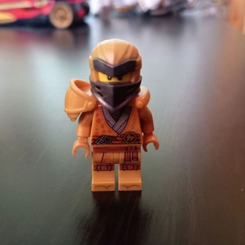 Cole 10th Anniversary Lego Ninjago new