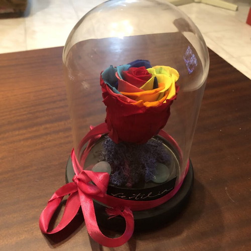 Forever Rose rainbow in glass dome with wooden base
