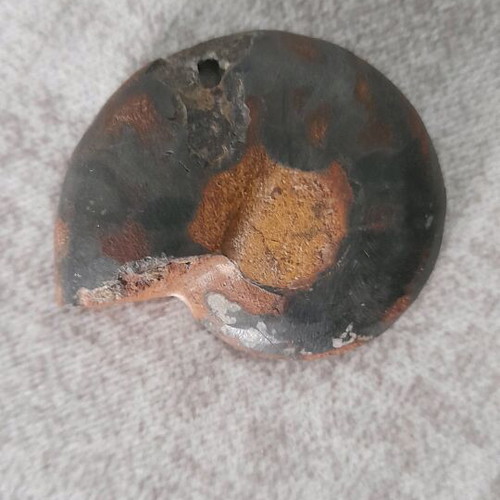 Ammonite fossil used with hole for jewelry