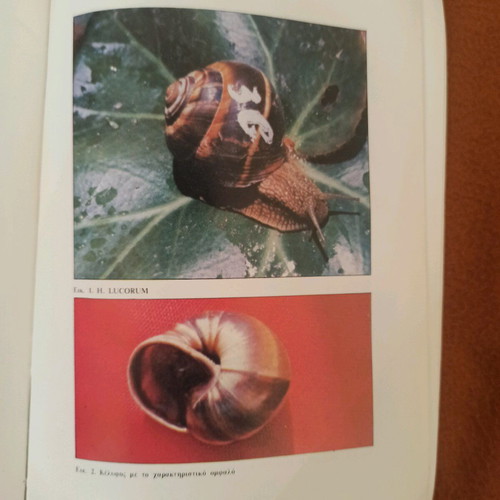 The Snail and Its Breeding like new