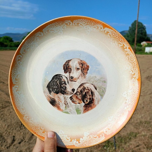 Decorative ceramic vintage plate used with 3 dogs design