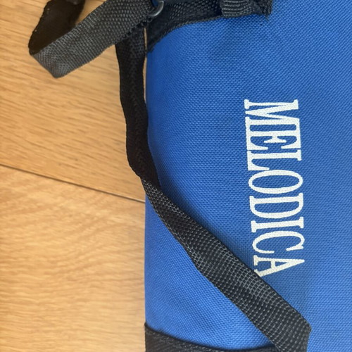 Melodica children's like new with washable mouthpiece