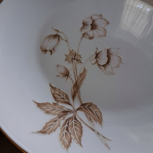 Rosenthal Selb Bavaria 65-piece vintage dinner set like new