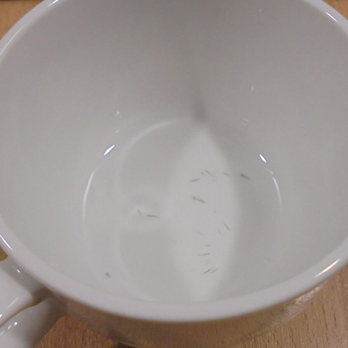 Jacobs coffee two promotional porcelain cups for cappuccino or chocolate like new with saucers