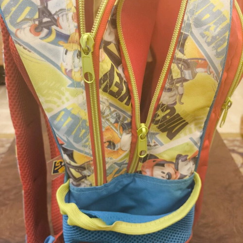 Disney school backpack used with ergonomic back