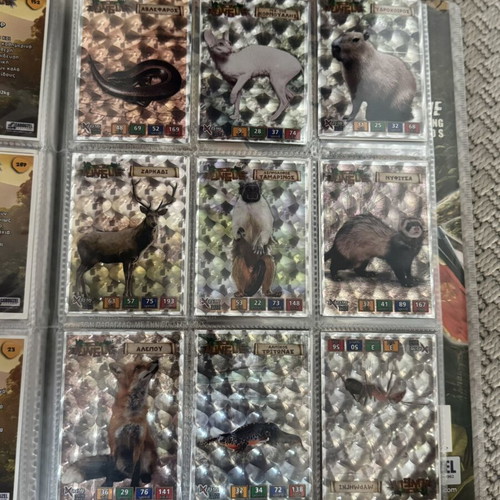 The Jungle Carouzel animal trading cards album