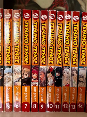 Manga Tenjho Tenge volumes 1 to 19 like new, English