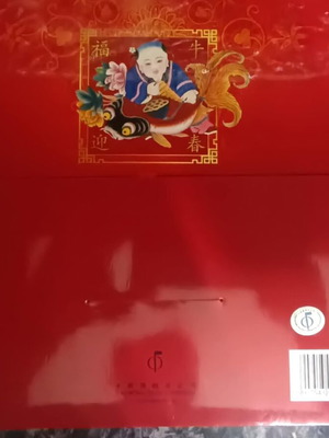 CHINA NATIONAL PHILATELIC CORPORATION - ΠΡΩΤΟΧΡΟΝΙΑ 2009