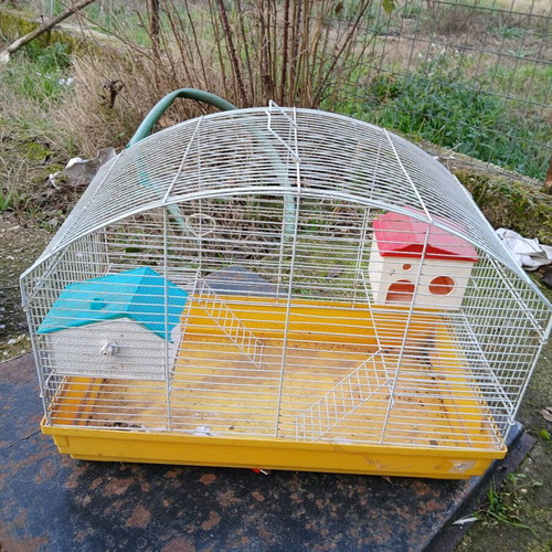 Hamster cage used with houses, water bottle and ladder