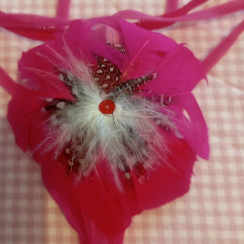 Sexy lingerie new, size up to small, fuchsia with real feathers
