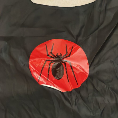 Spider Cape children's used