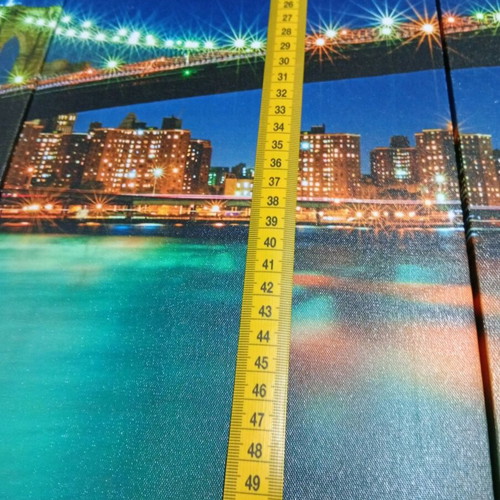 5 Piece Canvas Picture Like New