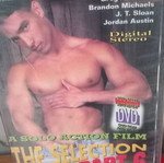 The Selection Part 6 DVD, sensual film