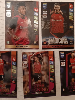 Adrenalyn XL 2025 Panini Cards Bayer Leverkusen like new