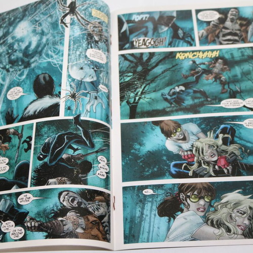 The Amazing Spider-Man 637 used Marvel comic