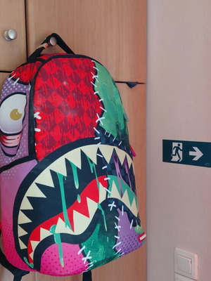 Sprayground backpack limited edition, new, multicolor