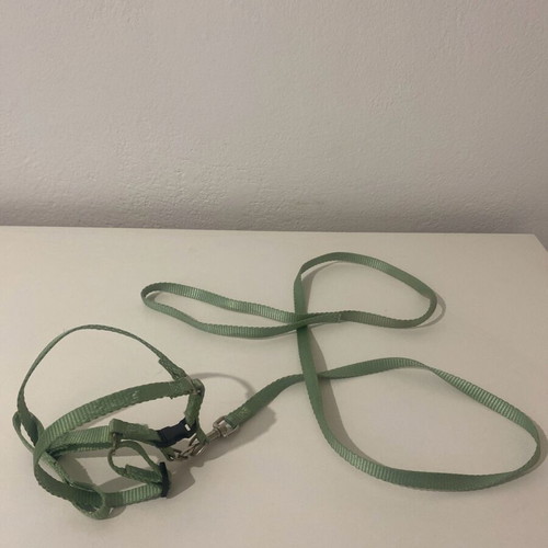 Cat/Small Dog Harness used
