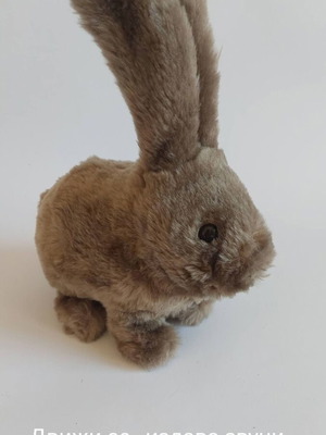 Interactive toy used, rabbit with movement and sound