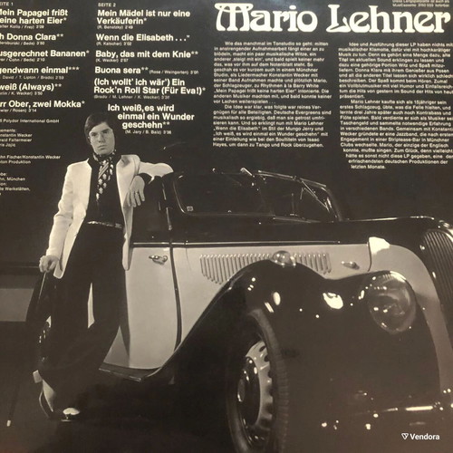 Vinyl Mario Lehner used, 1 vinyl Funk / Soul