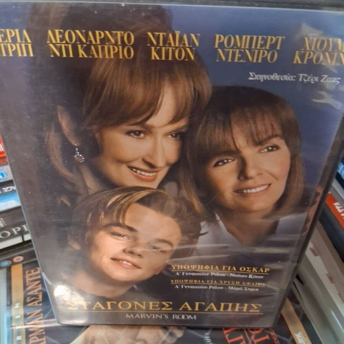 Marvin's Room movie like new, romantic adventure