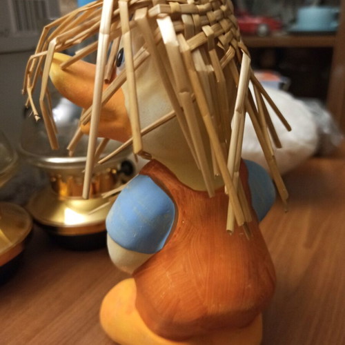 Duck used