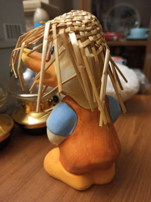 Duck used