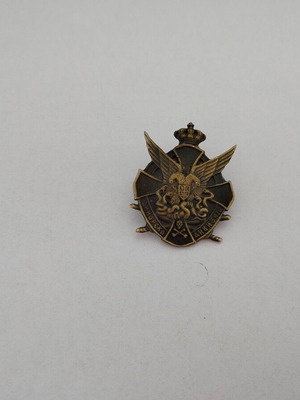 Replica metal emblem used, Dinaric Division