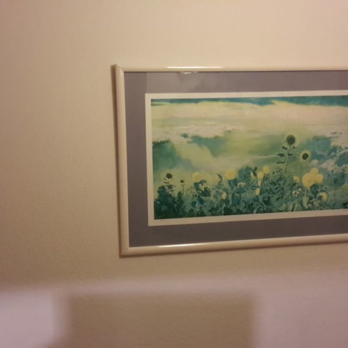 Silk screen printing used with frame and sunflowers