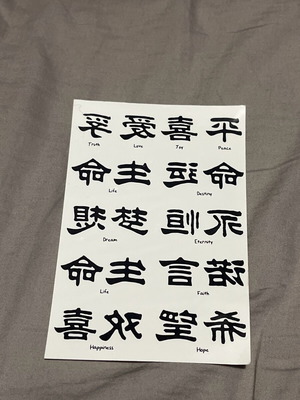 Fake tattoos new with Chinese letters and meanings