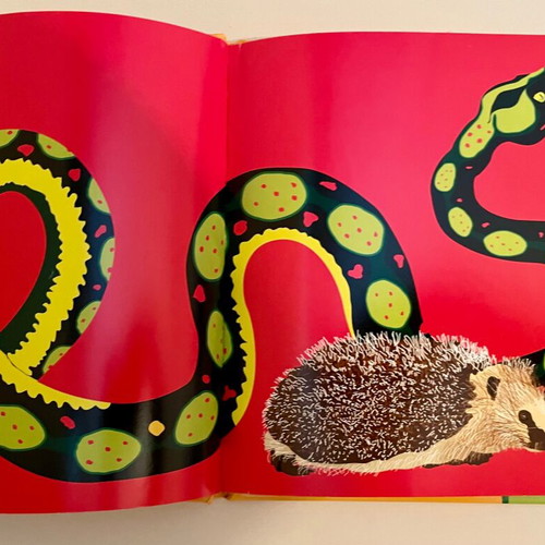 Animali e opposti children's book like new in Italian