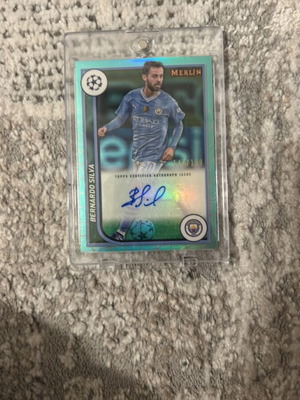 Tropps Merlin card collectible edition like new