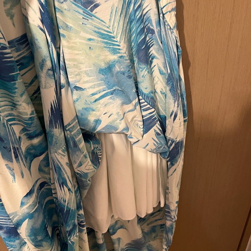Brigitte dress backless maxi like new