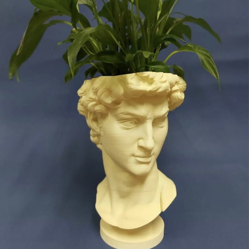 David head planter new