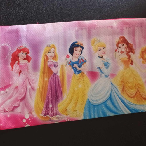Princess pencil case new fabric