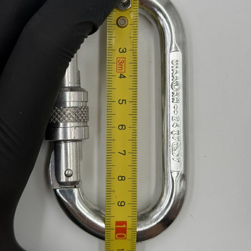 Camp Italy climbing carabiner used, silver, screw-lock