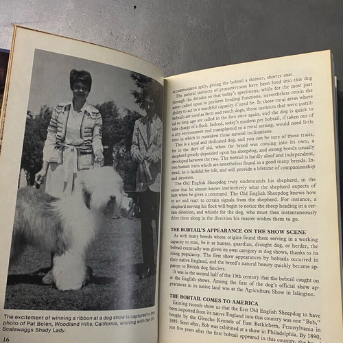 Pisano Old English Sheepdogs book like new