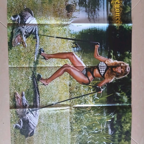 Collectible poster Beyoncé / Fernando Torres like new, size 40x55 cm