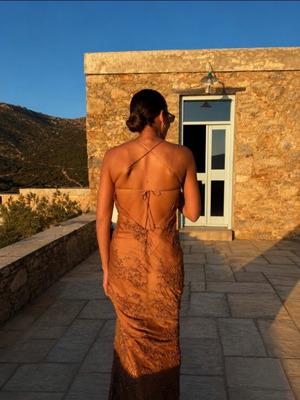 Zini silk dress with sequins, like new, beige and brown