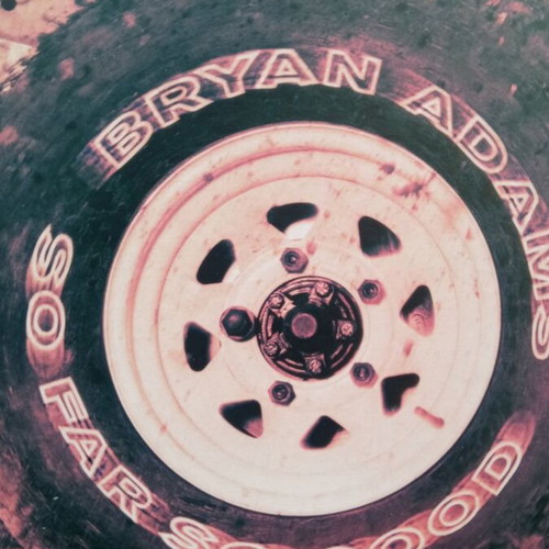 Bryan Adams 33 RPM record near mint