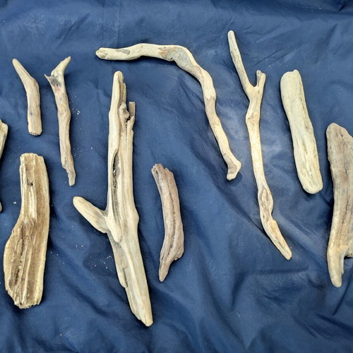 Driftwood pieces for decoration and crafts