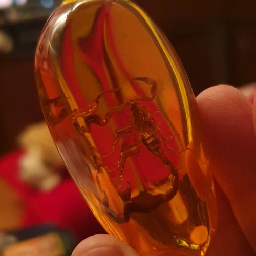 Decorative items with scorpion in resin, new, set of 2 pieces