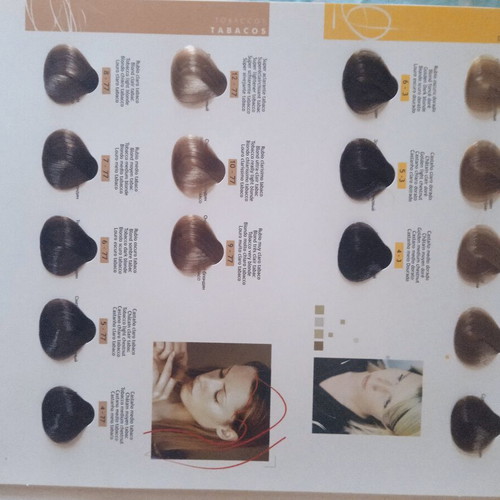 Nirvel professional hair color chart